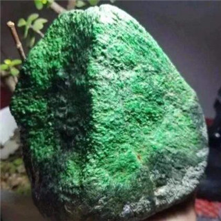 翡翠松花的表现特征
