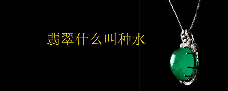 翡翠什么叫种水