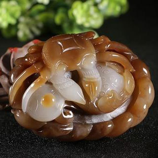 糖玉属于什么类