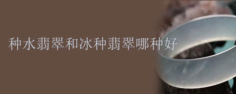 种水翡翠和冰种翡翠哪种好