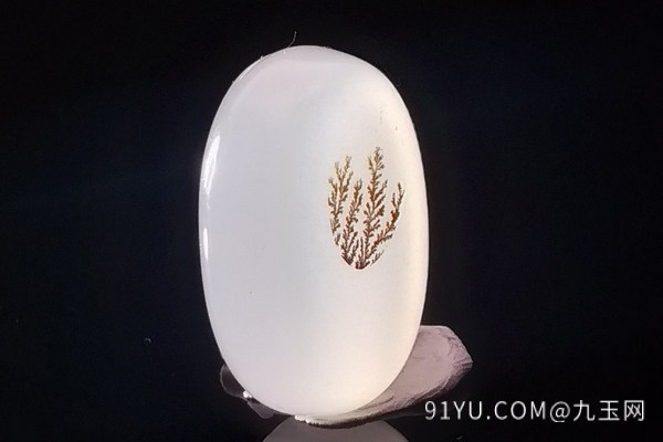 海洋玉髓草花.jpg?x-oss-process=image/auto-orient,1/quality,q_90/watermark,image_dXBsb2Fkcy93YXRlcl9tYXJrL2ppdXl1LnBuZz94LW9zcy1wcm9jZXNzPWltYWdlL3Jlc2l6ZSxQXzM1L2JyaWdodCw4NA,x_12,y_18