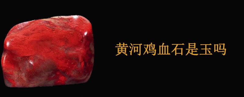 黄河鸡血石是玉吗
