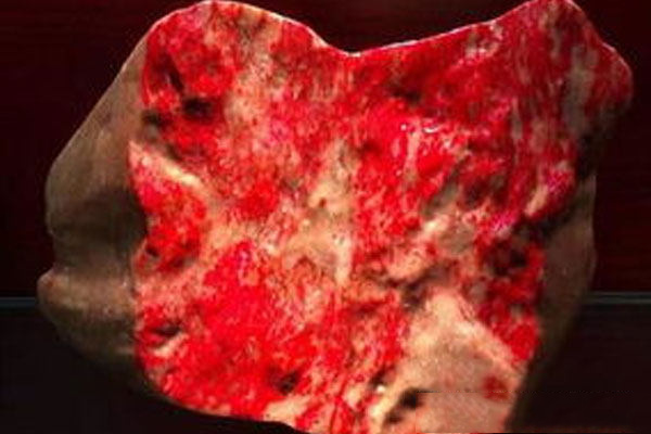 5.jpg?x-oss-process=image/auto-orient,1/quality,q_90/watermark,image_dXBsb2Fkcy93YXRlcl9tYXJrL2ppdXl1LnBuZz94LW9zcy1wcm9jZXNzPWltYWdlL3Jlc2l6ZSxQXzM1L2JyaWdodCw4NA,x_12,y_18