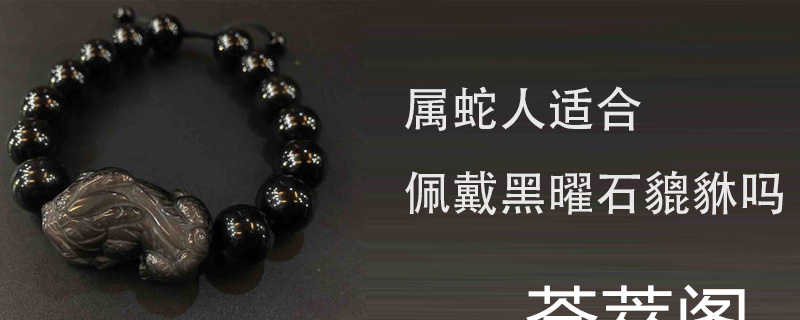 属蛇人适合佩戴黑曜石貔貅吗