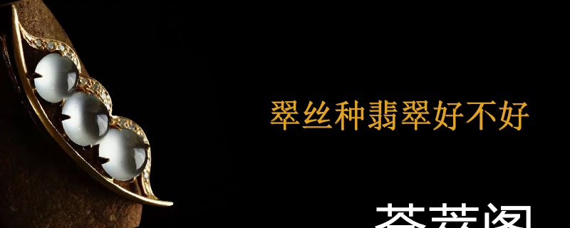 翠丝种翡翠好不好