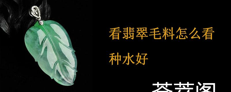 看翡翠毛料怎么看种水好