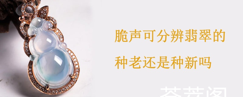 脆声可分辨翡翠的种老还是种新吗