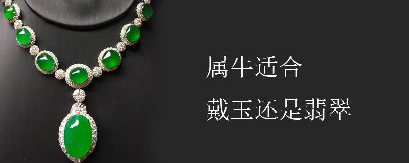 属牛适合戴玉还是翡翠