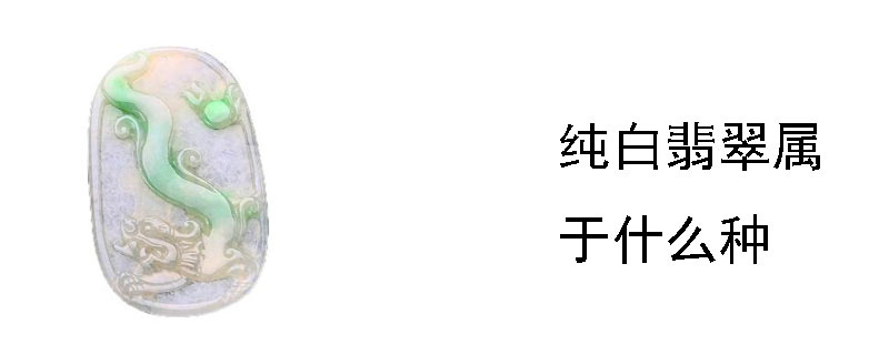 纯白翡翠属于什么种