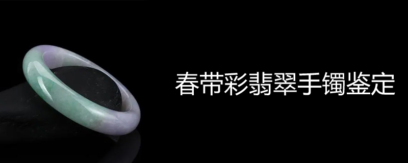 春带彩翡翠手镯鉴定
