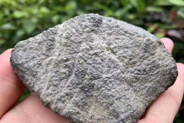 翡翠原石莫西沙大象皮特点 翡翠原石莫西沙大象皮打灯表现