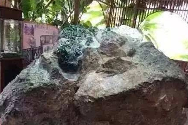 亚洲一号翡翠原石价值如何？现在花落谁家了？