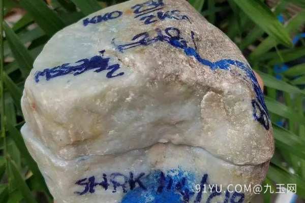 木那翡翠原石切开后.jpg