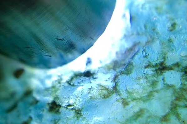 糯化翡翠原石价格 糯化翡翠原石多少钱